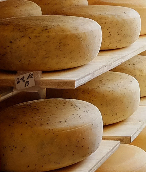 Kümmelkäse
